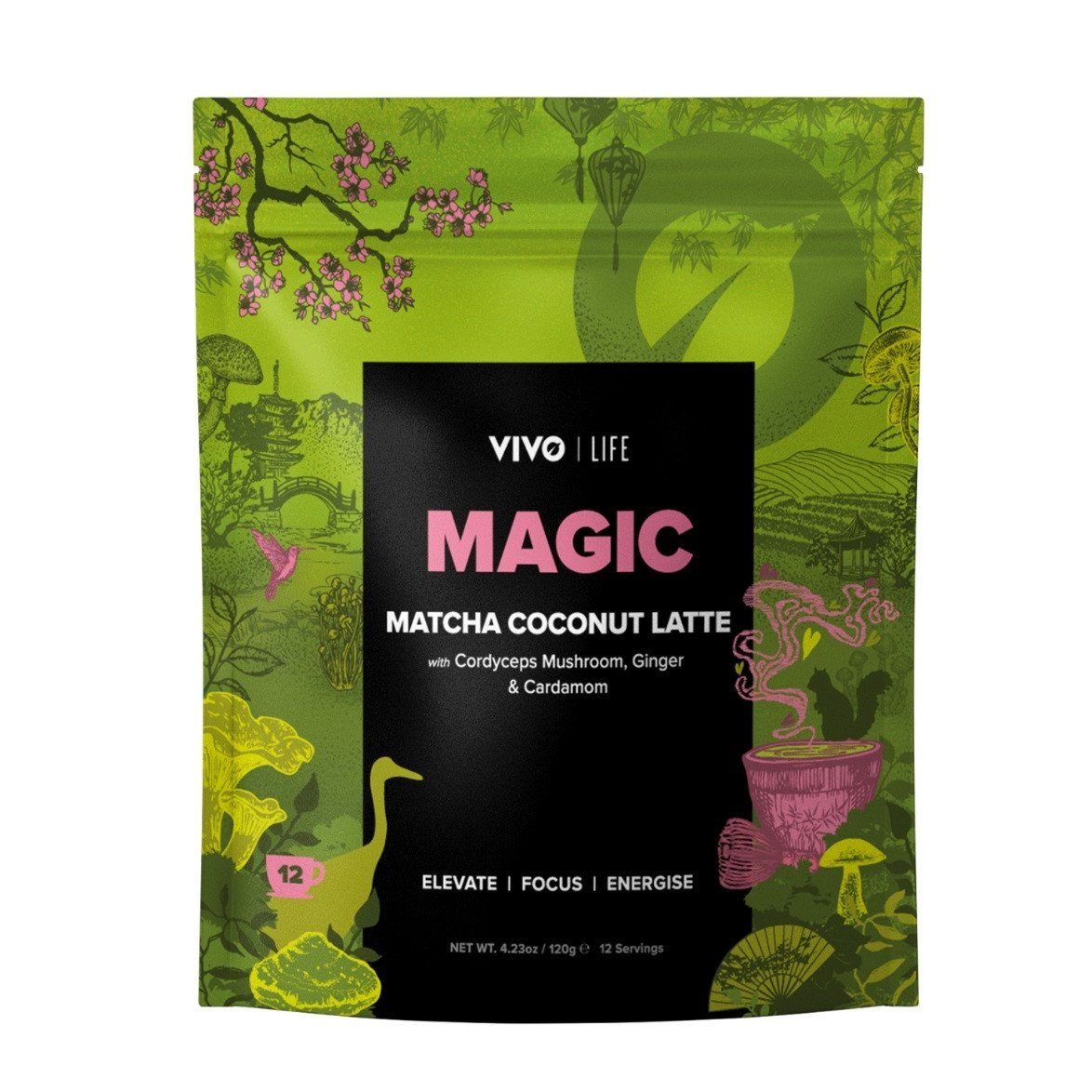 MATCHA COCONUT LATTE - 120g Vivo Life