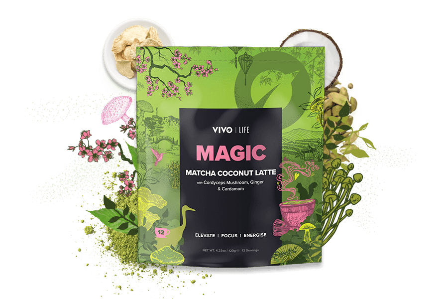 MATCHA COCONUT LATTE - 120g Vivo Life