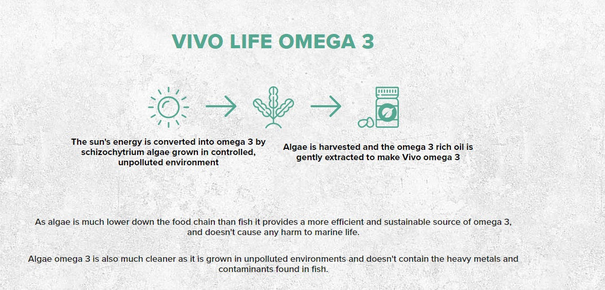 Omega 3 Plant Based - 60ml - 30 servings Vivo Life Greece