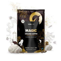 MATCHA AND CO ORIGINAL 80g 100% BIO, available in Morocco