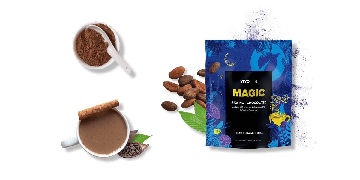 RAW HOT CHOCOLATE - 120g Vivo Life